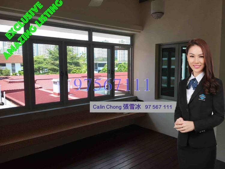 Tiong Bahru Estate (D3), Apartment #165271182